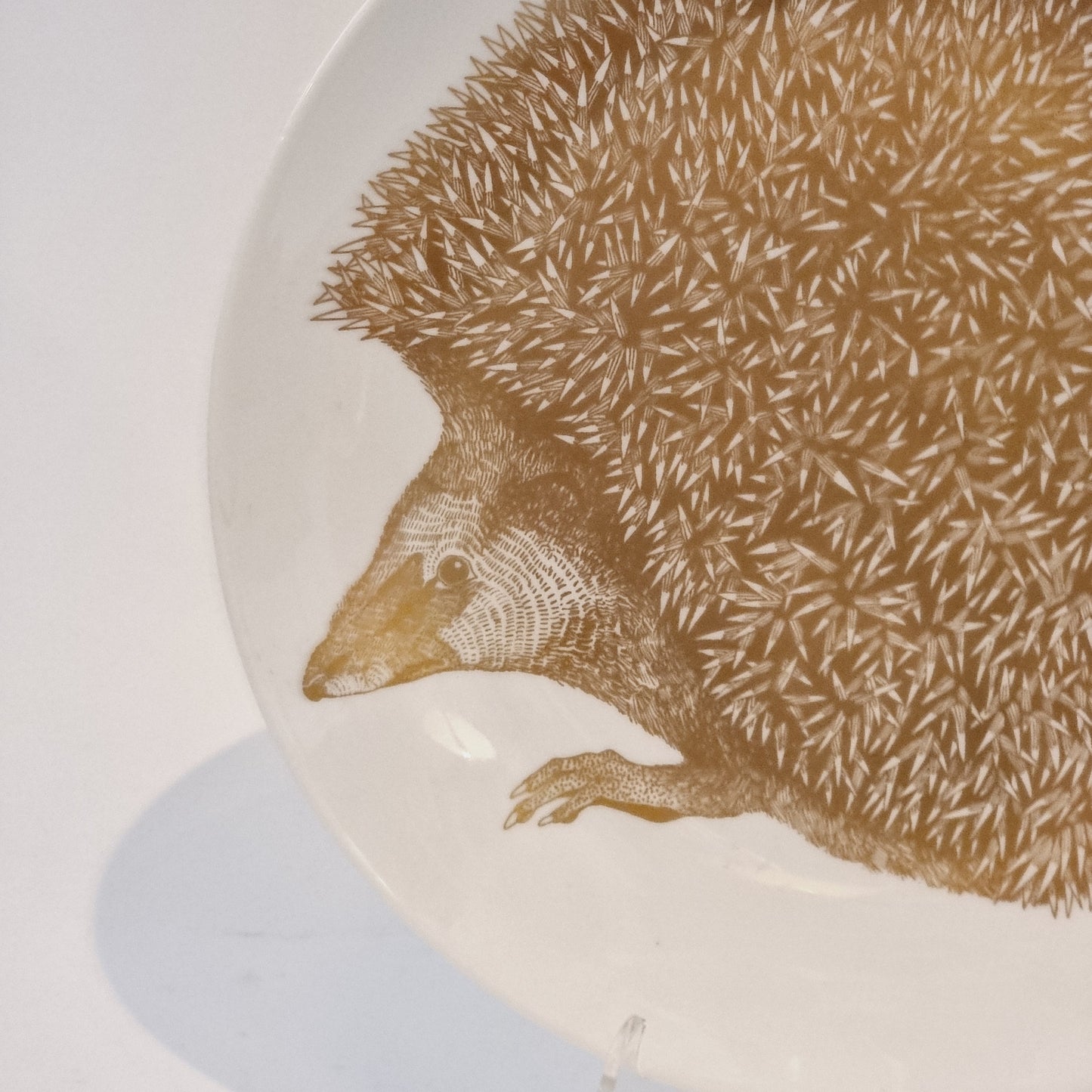 Dinner plate Species in danger Hedgehog Paul Hoff Gustavsberg 24.5cm