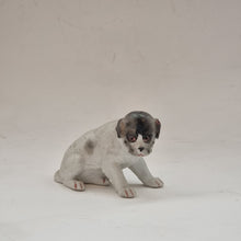 Ladda upp bild till gallerivisning, Figurin hund biskviporslin parian
