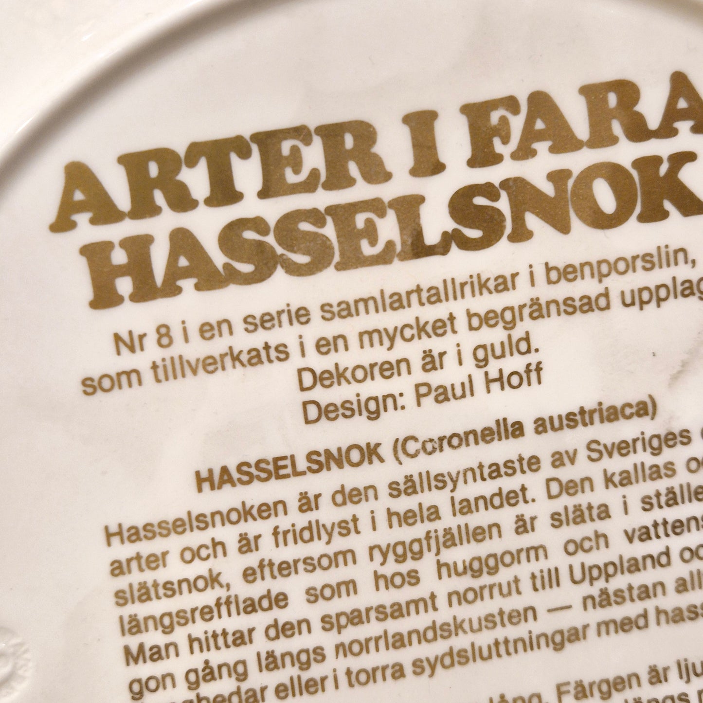 Mattallrik Arter i fara Hasselsnok Paul Hoff Gustavsberg